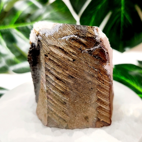 Amethyst Crystal Cluster with Large Flat Base Geode - Picture 5 of 11